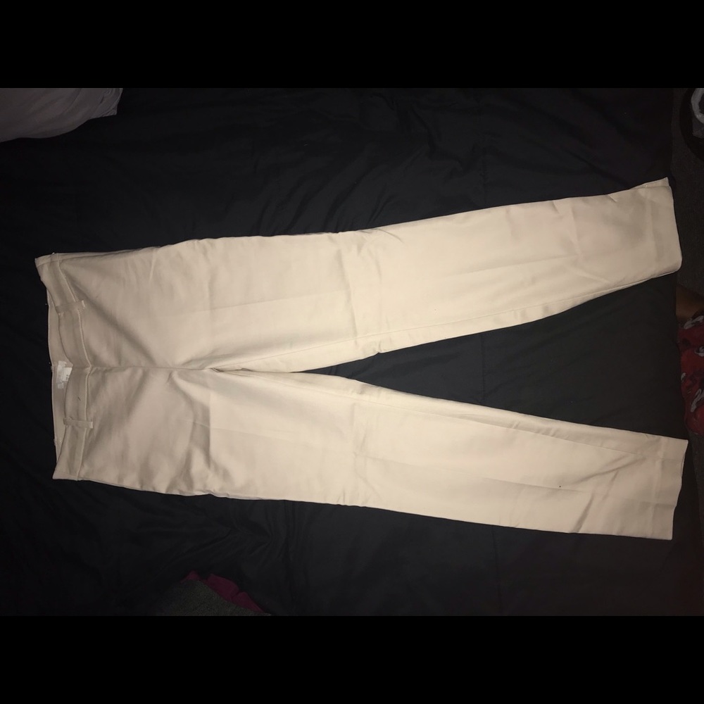 Dress Pants
